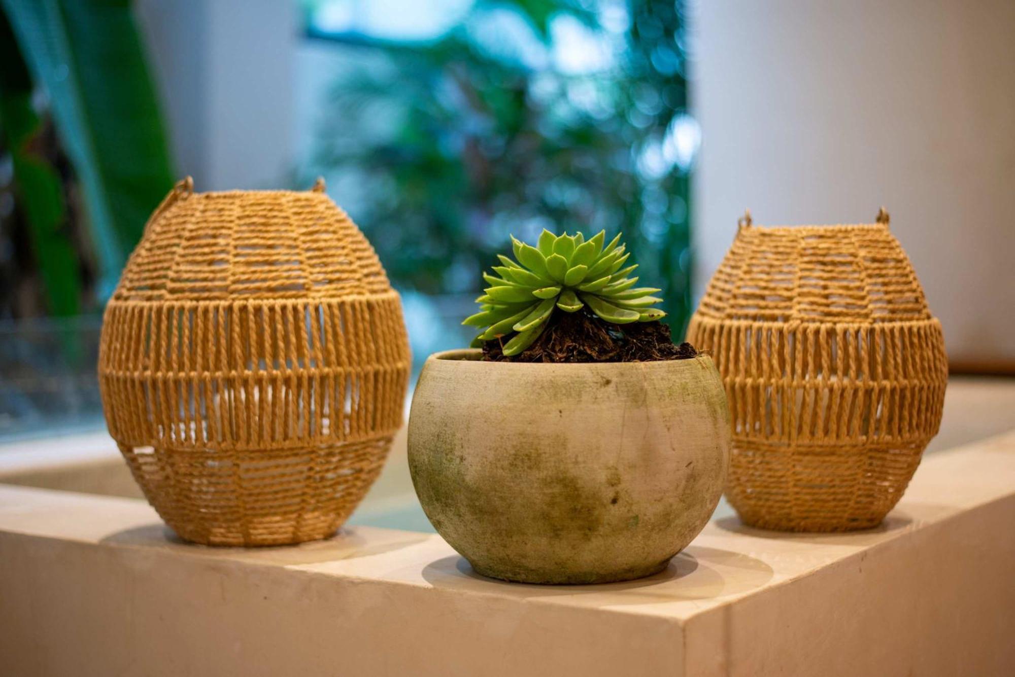 Stunning 2br With Plunge Pool - Rooftop Sea Views Playa del Carmen